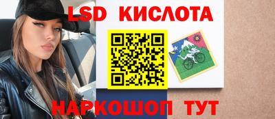 винт Краснодар