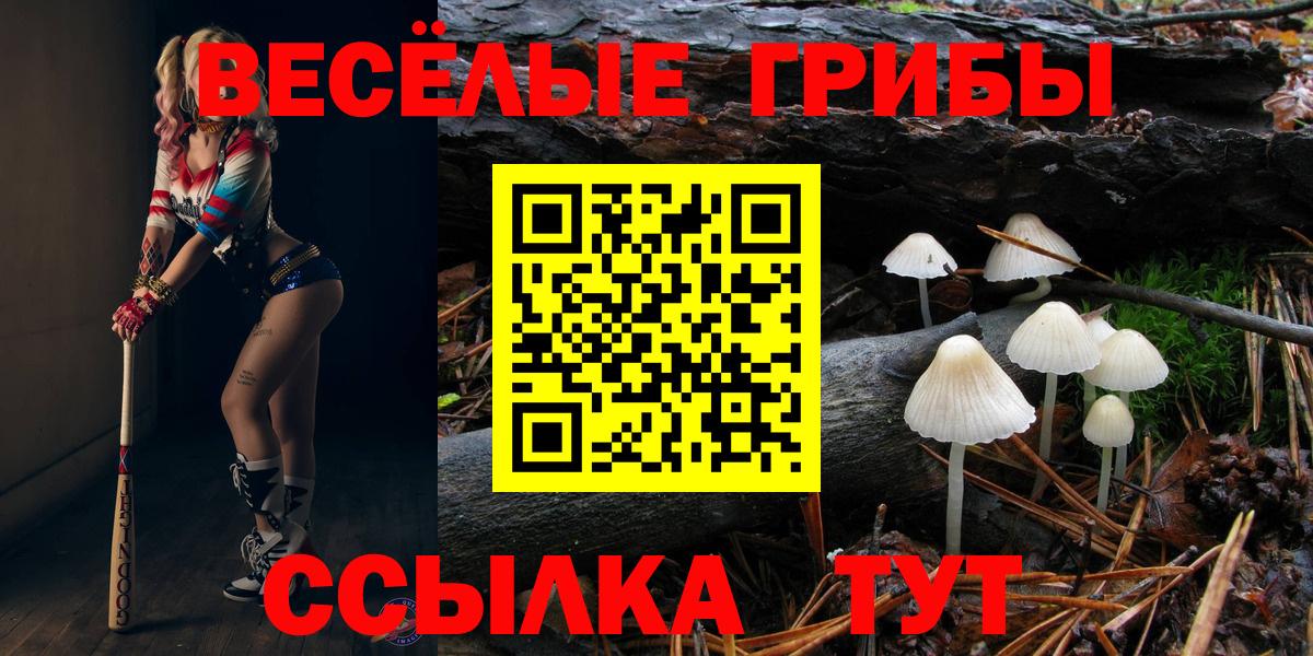 Клин  Псилоцибиновые грибы Cubensis  Вход с VPN 